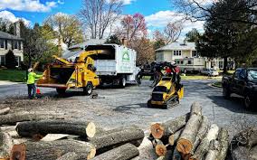 Best Firewood Processing and Delivery  in Malabar, FL