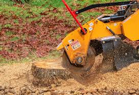 Best Aeration Services  in Malabar, FL